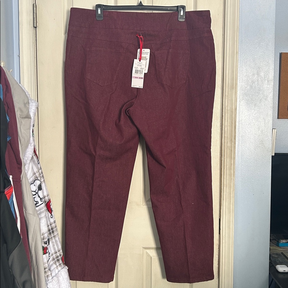NWT Ruby Rd. Currant pull on pants size 22W - Picture 2 of 4